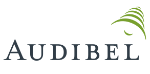 audify brands audify brands